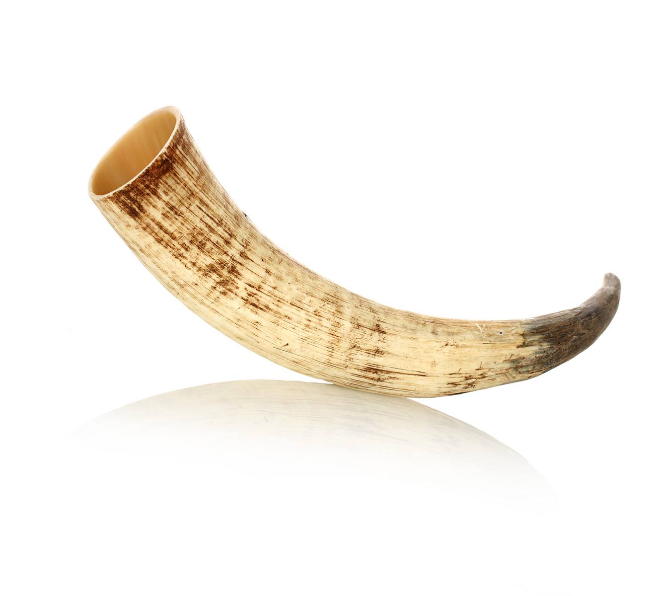 trinkhorn-roh-500ml-004 Trinkhorn aus echtem Horn - aussen naturbelassen