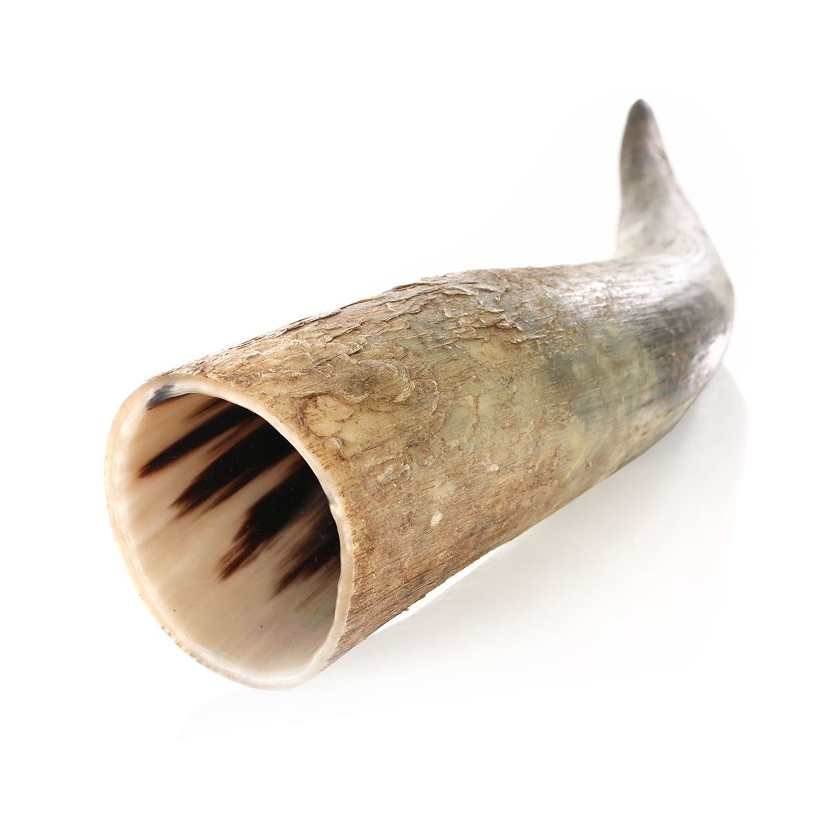 Trinkhorn aus echtem Horn - aussen naturbelassen