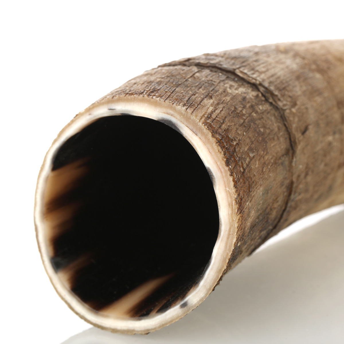 trinkhorn-roh-300ml-004 Trinkhorn aus echtem Horn - aussen naturbelassen