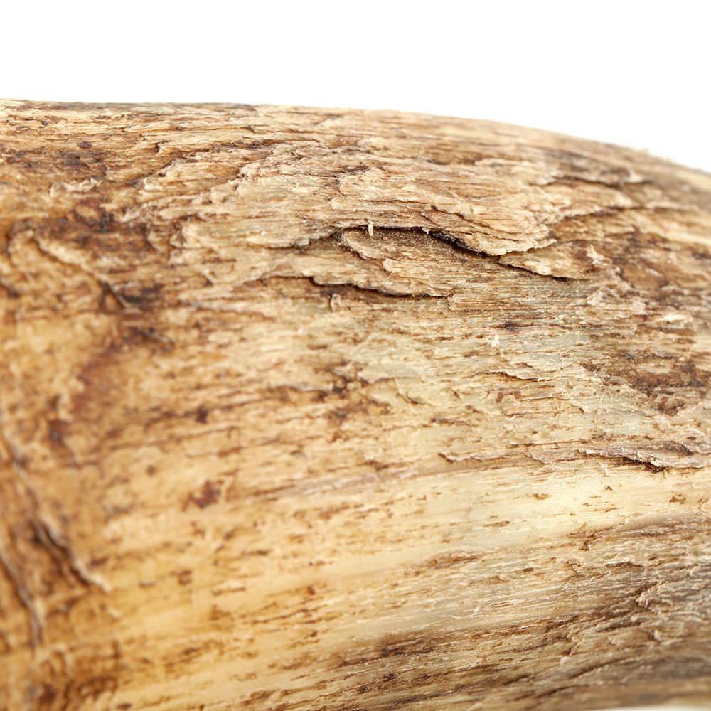 Becher-Horn-Natur-010593174d531b87 Hornbecher natur / roh - 0,5 l  - Wikinger Becher aus Rinderhorn - außen unbehandelt