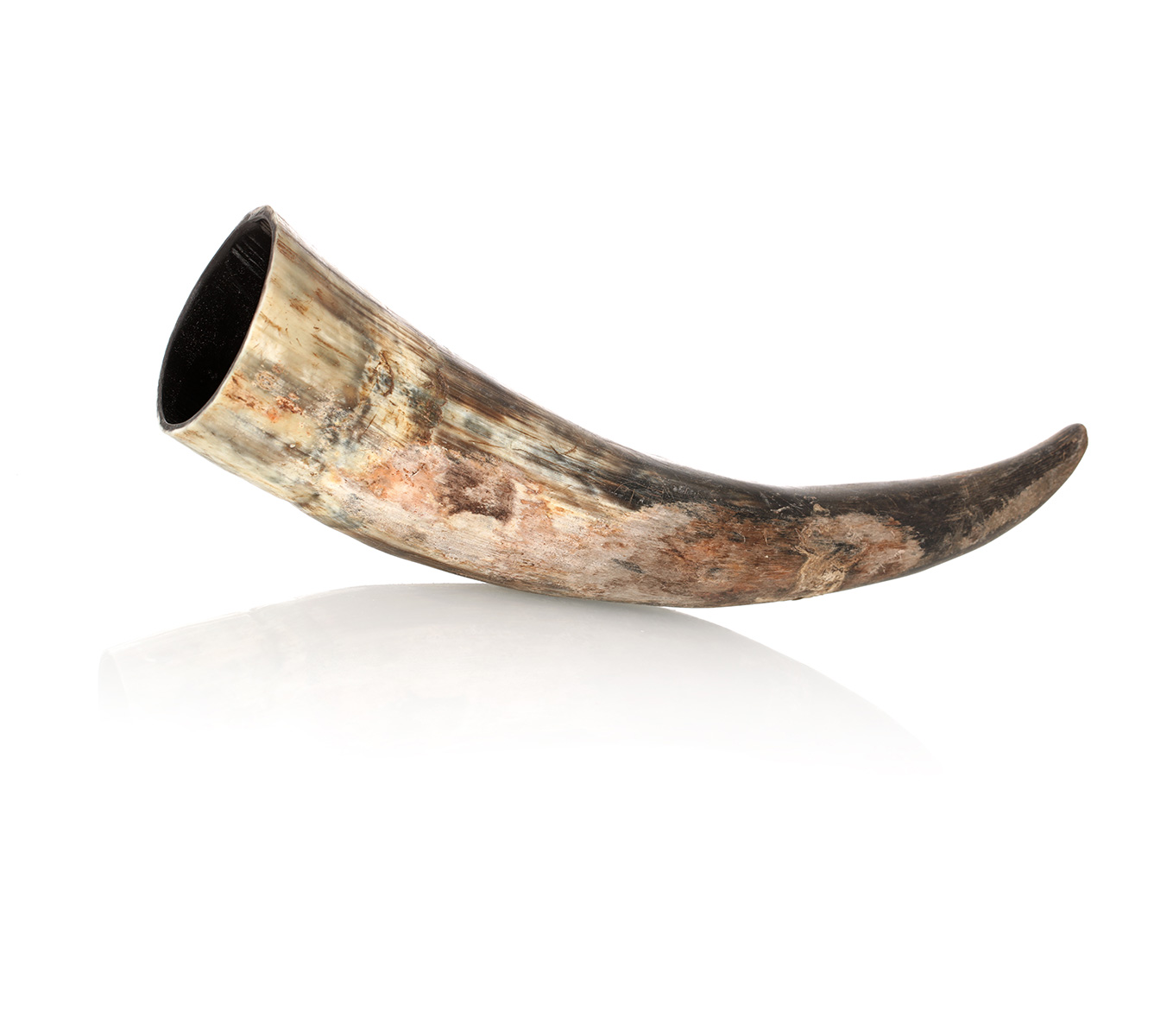 trinkhorn-roh-300ml-001 Trinkhorn aus echtem Horn - aussen naturbelassen