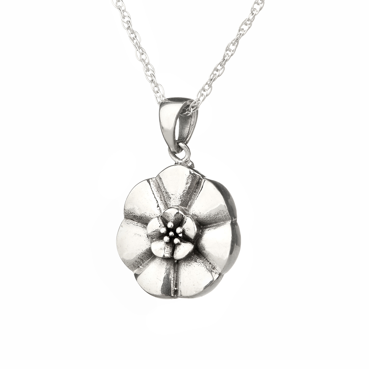 weisse-rose-white-scotland-schottland-kette-007 White Rose of Scotland - Jakobiten Anhänger aus Schottland - Sterling Silber