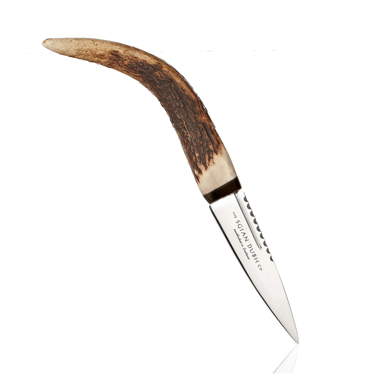 sgian-dubh-hirsch-horn-schottland-004 Highland Sgian Dubh aus Schottland - Hirschhorn & Edelstahl mit Lederscheide