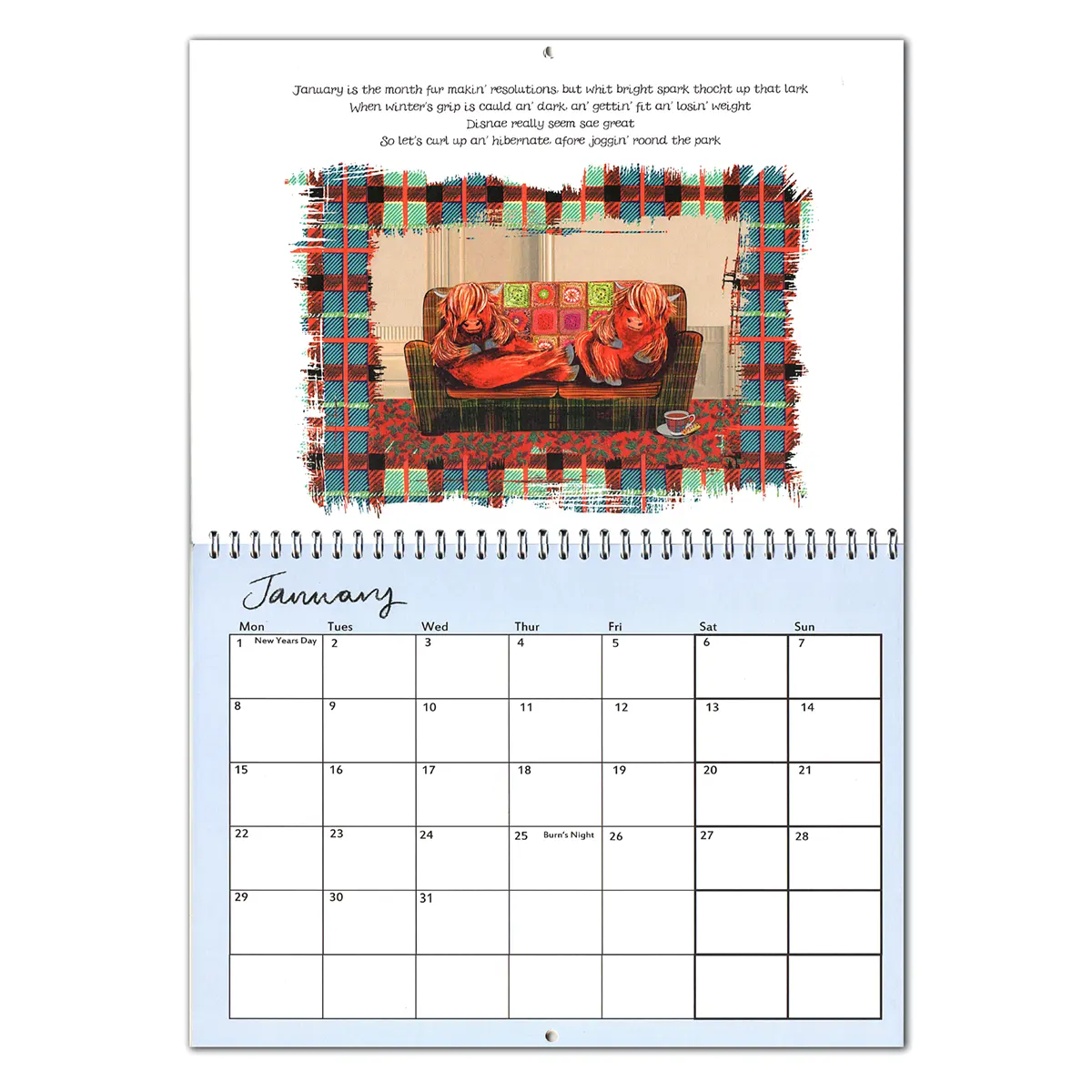 A Year of Highland Coos - Schottischer Kalender 2024